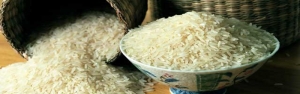 واردکنندگان برنج با سود کم هم قانع باشند/ حمایت از مصرف‌کننده بهانه است