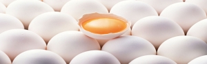 صادرات ۱۱ هزار تن تخم‌مرغ در ۲.۵ ماه