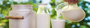 تولید شیر خام سالانه ۷ تا ۸ درصد افزایش دارد