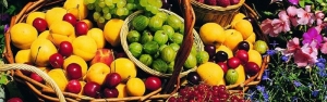 راهکار توسعه صادرات محصولات کشاورزی بدون اخلال در بازار داخلی/ امسال صادرات میوه کاهش می‌یابد
