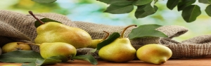 بازشدن دوباره پای میوه‌های قاچاق به کشور/ بندر دبی، کانال انتقال میوه‌های قاچاق به ایران