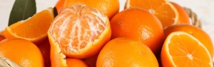 واردات نارنگی به ازای صادرات سیب/ جلوی واردات قاچاق میوه گرفته شود